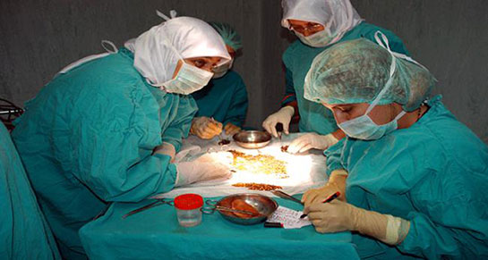 Azdan Safra Kesesi Ameliyat