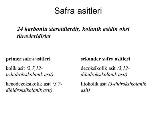 Safra Asitleri