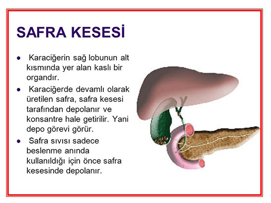 Safra Kesesinin Grevi