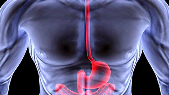 Safra Reflüsü Belirtileri ve Tedavisi